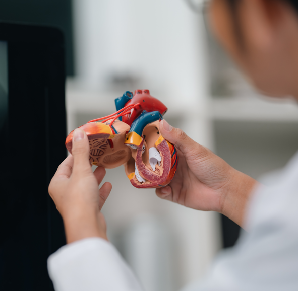 SCOUT-HCM: el estudio revolucionario para combatir la miocardiopatía hipertrófica en adolescentes